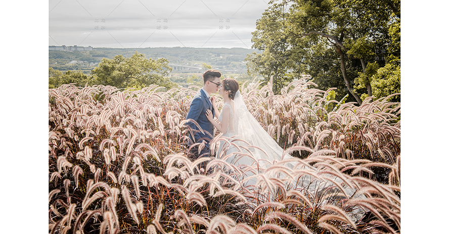 婚紗 攝影 比堤婚紗 推薦新人：Mr. Hsu＆Mrs. Liu 愛麗絲 芒花