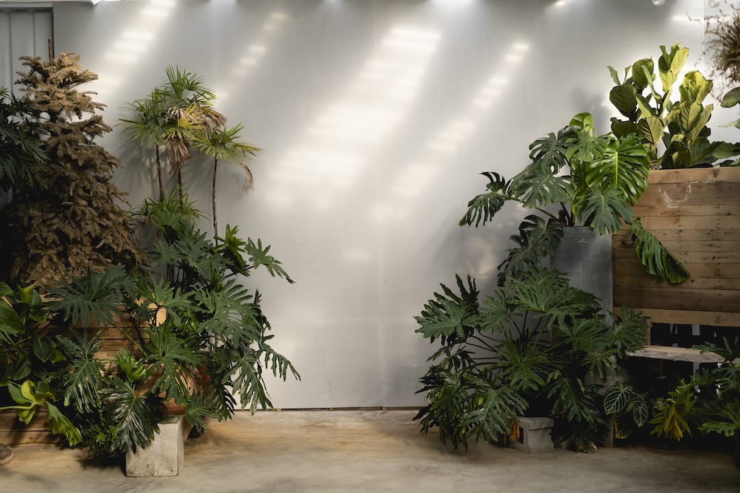 台中婚紗棚拍|韓系婚紗背部鏤空設計